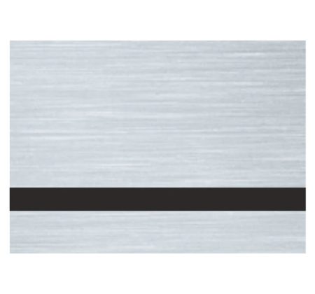 Brushed Silver/Black