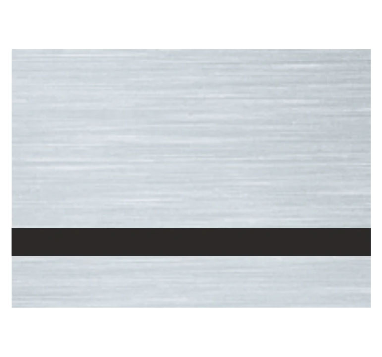 Brushed Silver/Black