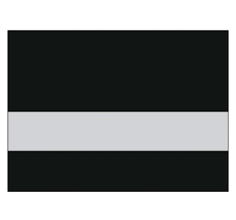 Black/Silver