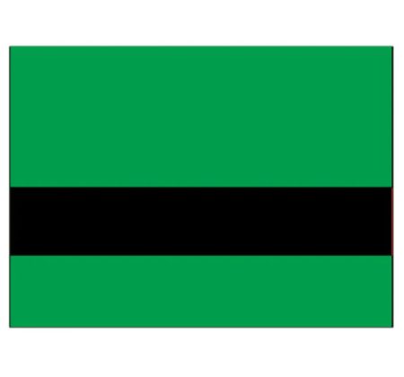 Kelly Green/Black