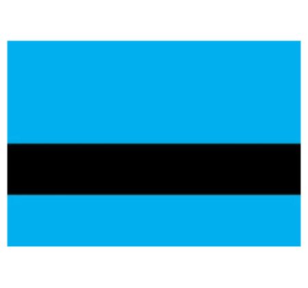 Light Blue/Black