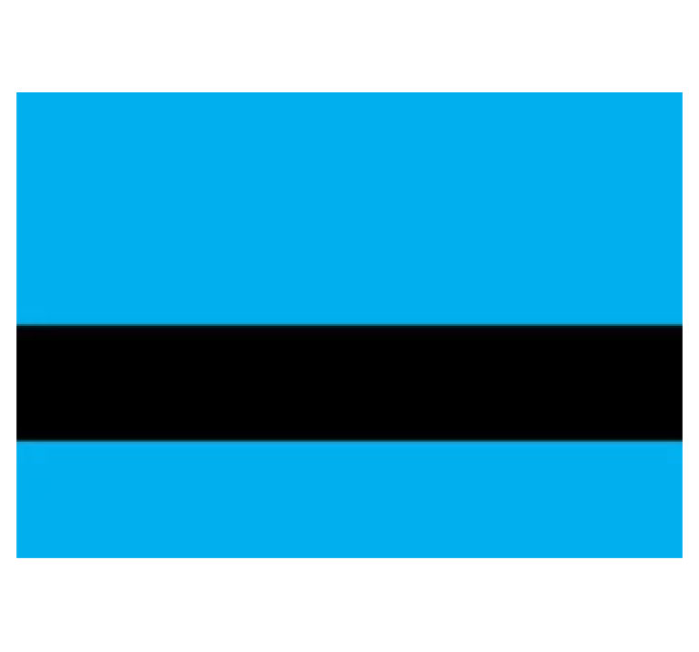 Light Blue/Black