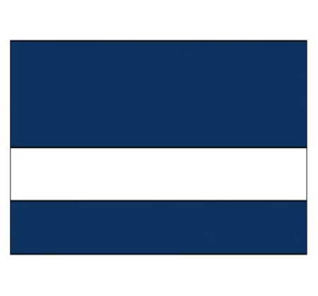 Patriot Blue/White