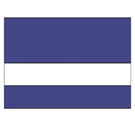 Purple/White
