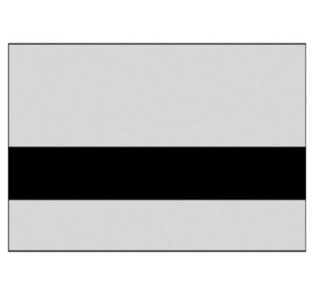 Smooth Silver/Black