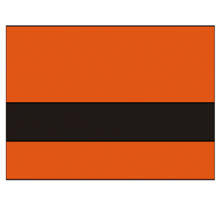 Vibrant Orange/Black