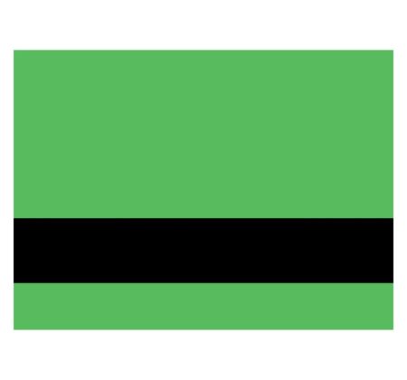Fluro Green/Black