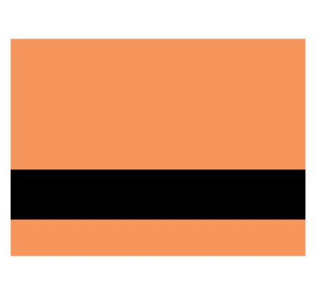 Fluro Orange/Black