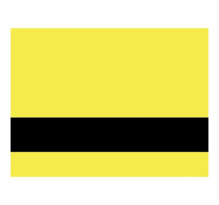 Fluro Yellow/Black