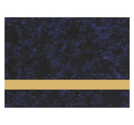 Gloss Celestial Blue/Gold